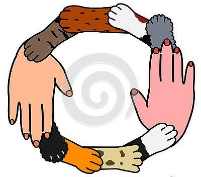 Nous avons besoin d’une nouvelle éthique des relations Humain-Animal